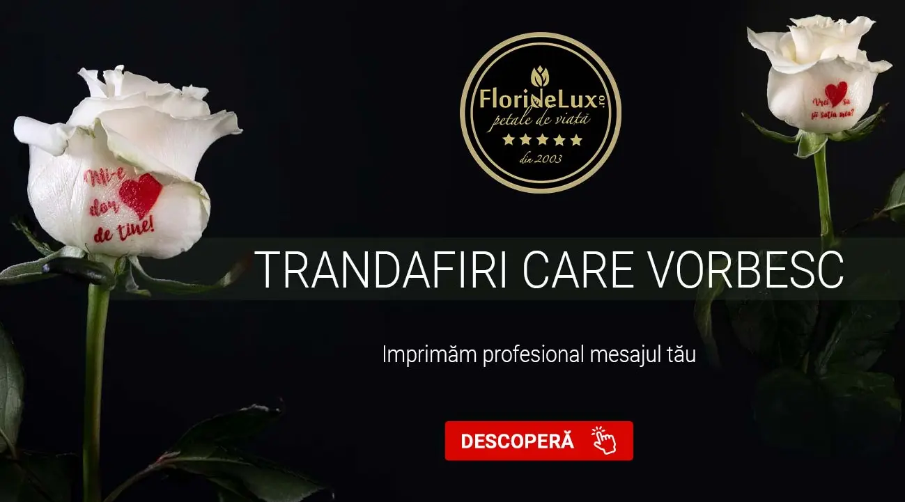 Cod reducere FloriDeLux -10% la orice comand online de flori si aranjamente florale